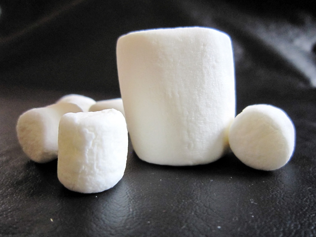 When is our marshmallow? A student wonders when medical training will ...