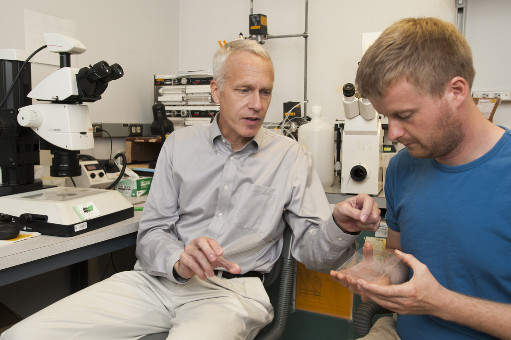 Nobel winner Brian Kobilka in lab