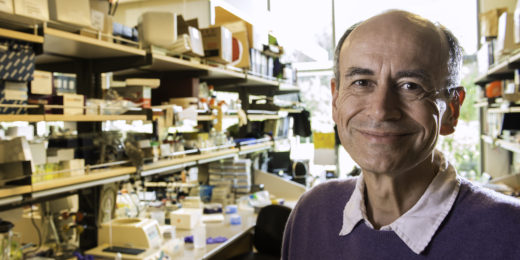 Stanford’s Thomas Südhof wins 2013 Nobel Prize in Medicine