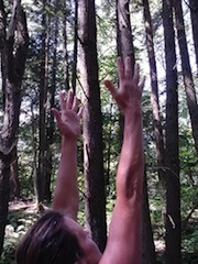 tree_yoga