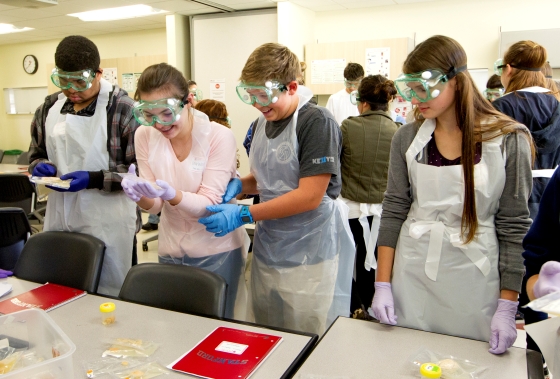 Students exam brain of animals during the brain lab session at Medicine on the sidelines at Med School 101 at Stanford University School of Medicine on Friday, March 28, 2014. ( Norbert von der Groeben/ Stanford School of Medicine )