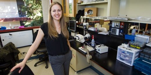 Stanford neurobiologist takes meandering path to her line of work