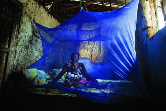 malaria bed net