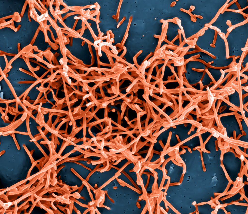 ebola asymptomatic transmission