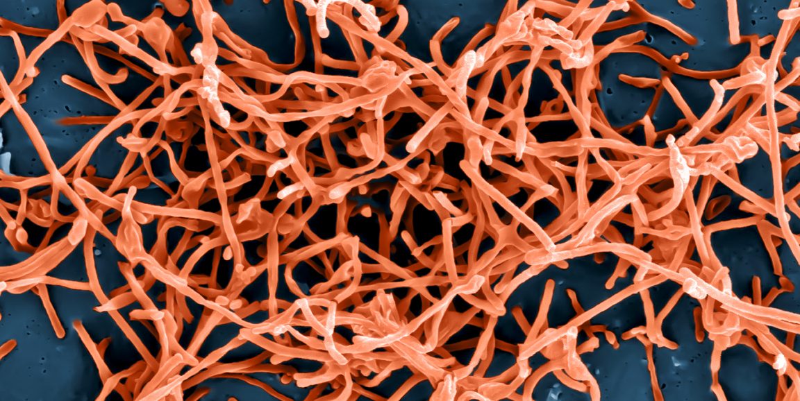 ebola asymptomatic transmission