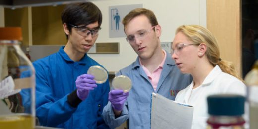 Award-winning project takes on threat of multidrug-resistant bacteria