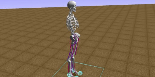 Open contest with skeleton videos may help people learn, or relearn, to walk
