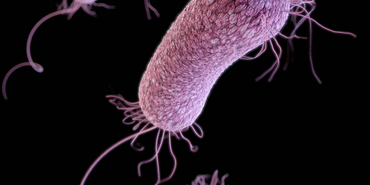 New label will allow physicians to pinpoint location of bacterial infections