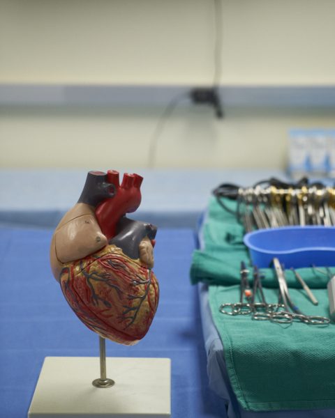 heart valve model - Scope