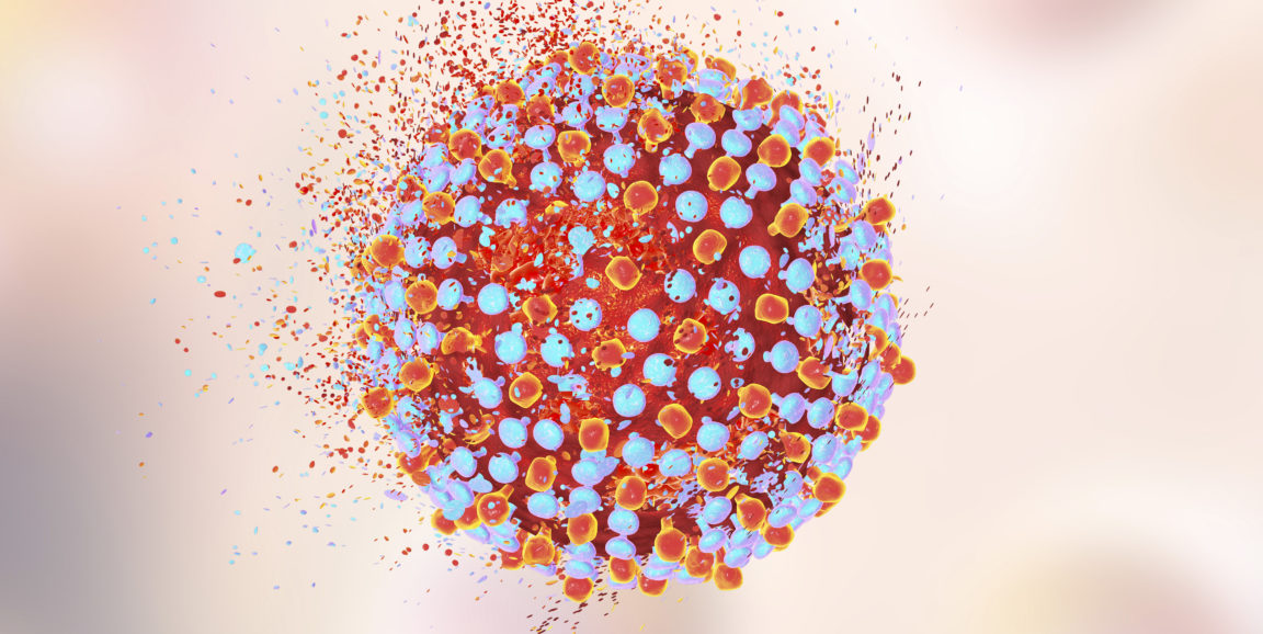 Hepatitis C virus broken apart