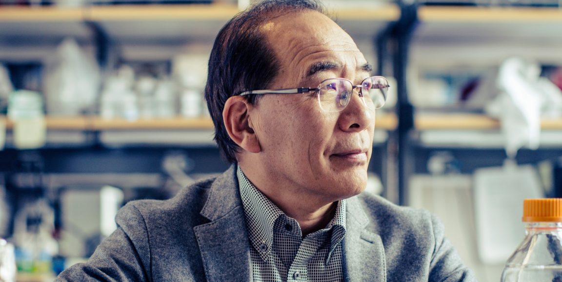 Stanford researcher Hiromitsu Nakauchi