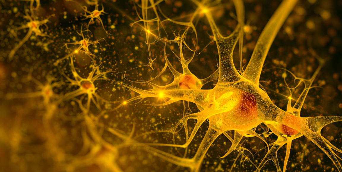 computer graphic of neurons