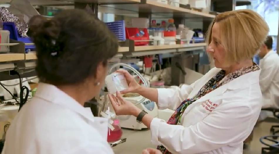 Stanford researcher Crystal Mackall in her lab