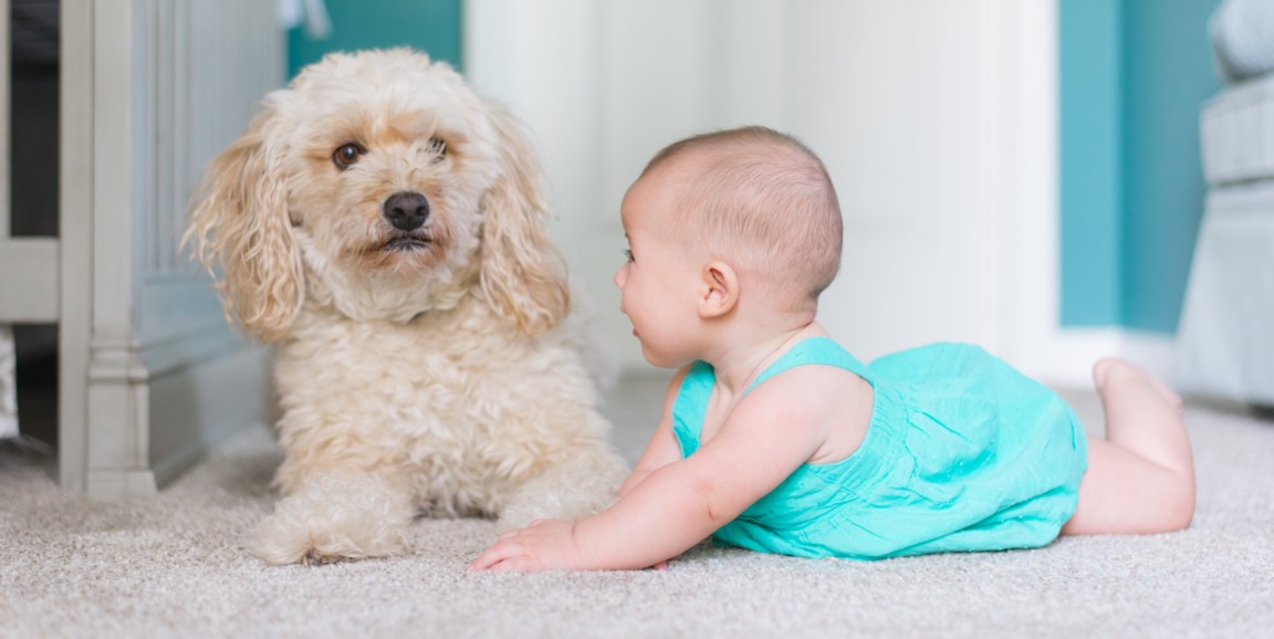 dog and baby on the floor