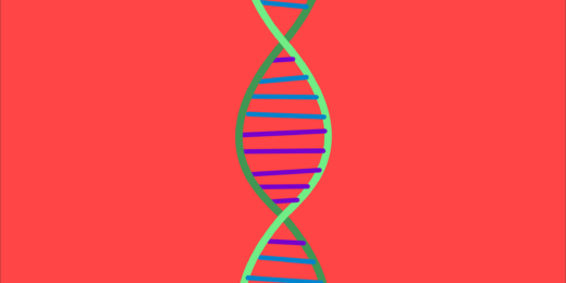 New Stanford algorithm could improve diagnosis of many rare genetic diseases