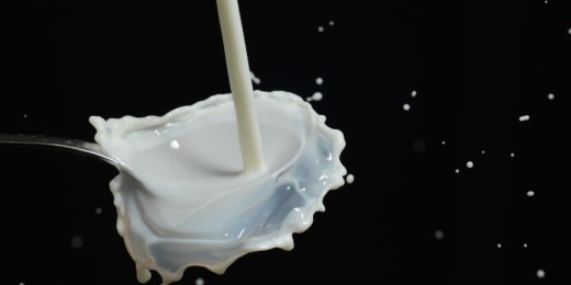 Busting myths about milk