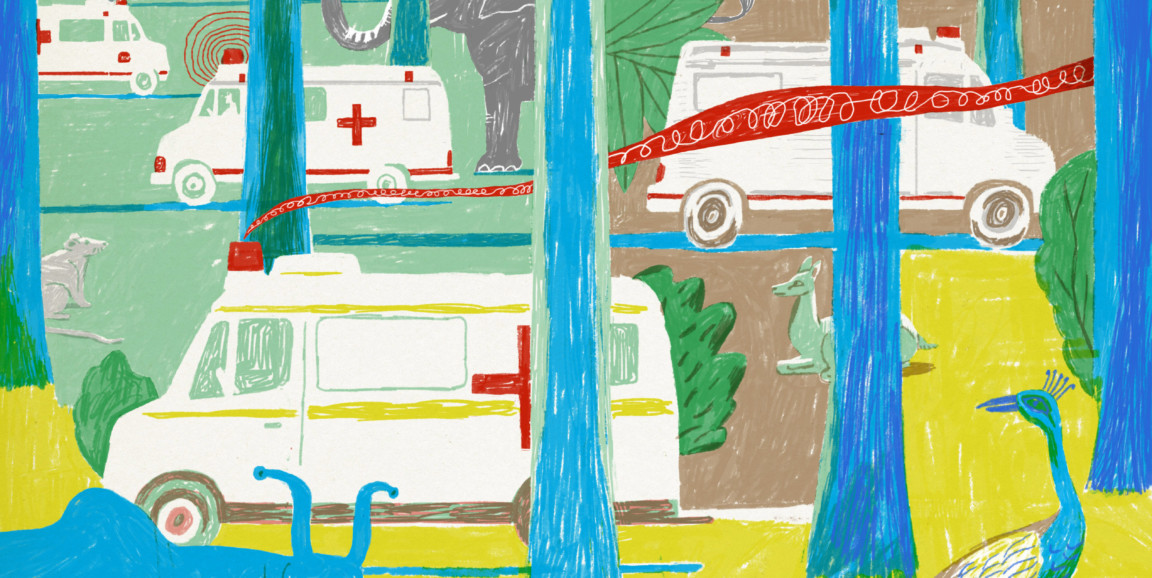 illustration of ambulances in tropical area