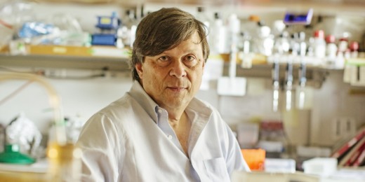 Stanford immunologist pushes field to shift its research focus from mice to humans