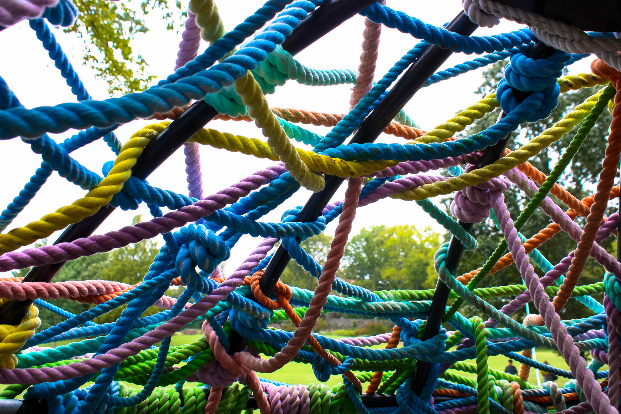 Multi-colored tangled ropes