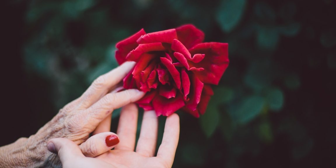 Older and younger woman holding a red rose together in their hands
