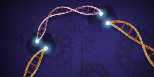 CRISPR algorithm predicts how well gene editing will work