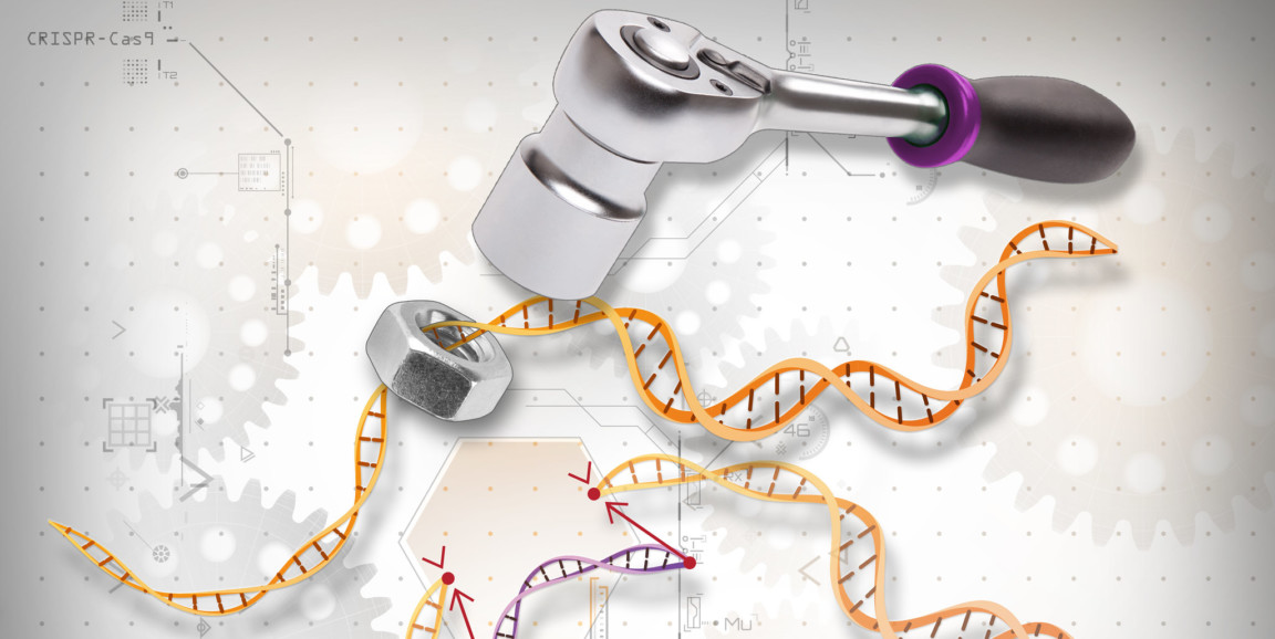 artistic description of CRISPR using socket wrench
