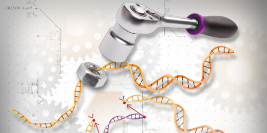 Stanford technology helps advance CRISPR-based cancer therapy