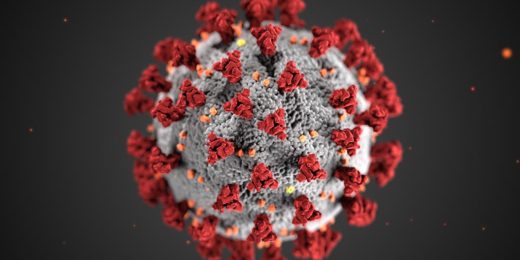 What’s a virus, anyway? Part 2: How coronaviruses infect us — and how viruses created us