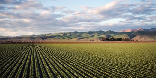 Unexplained kidney disease in California more likely near agriculture