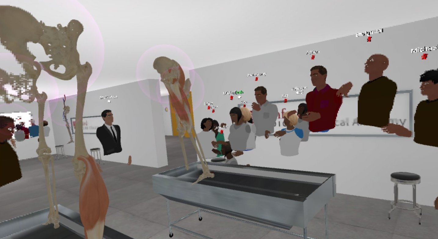 Virtual anatomy lessons