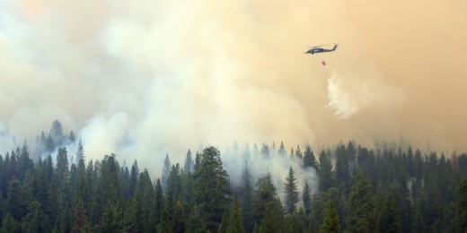Wildfire smoke exposure raises risk for preterm birth
