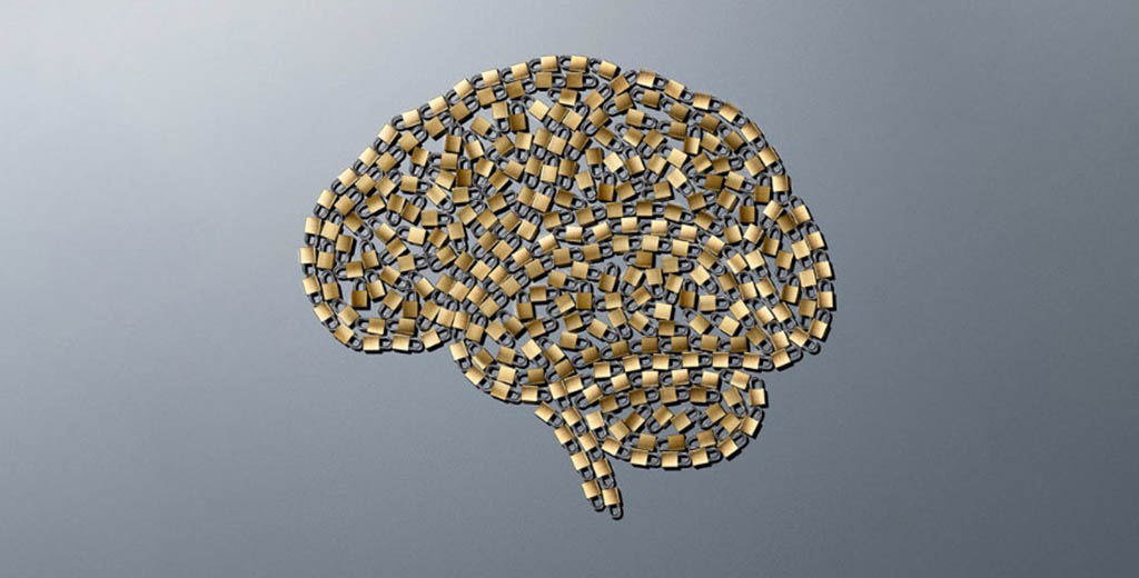 Stanford Medicine magazine: Unlocking the brain's mysteries