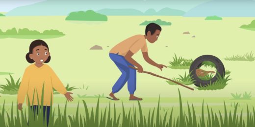 Video helps Eswatini residents avoid snake bites