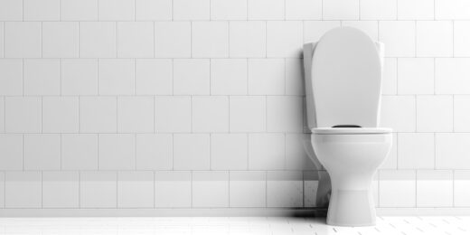 Potential and pitfalls of smart toilets: Would you use one?
