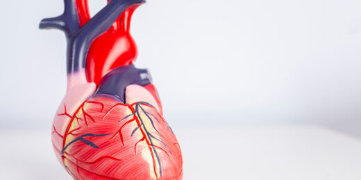 Are mechanical or biological heart valves best?