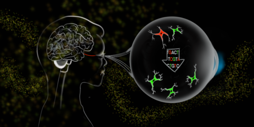 Not all about neurons: A new avenue for treating neurodegeneration, injury